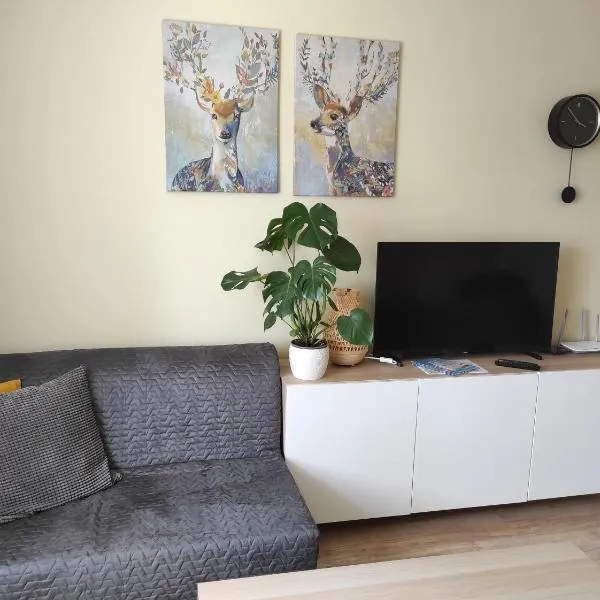 Apartment Paula, hotel em Saldus