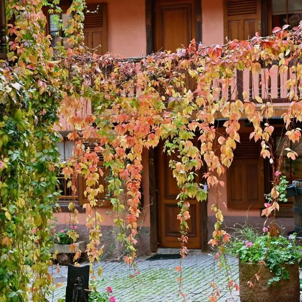 Hôtel de l'Ange, hótel í Niedermorschwihr