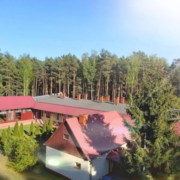 Drzewosfera, hotel a Wilcze