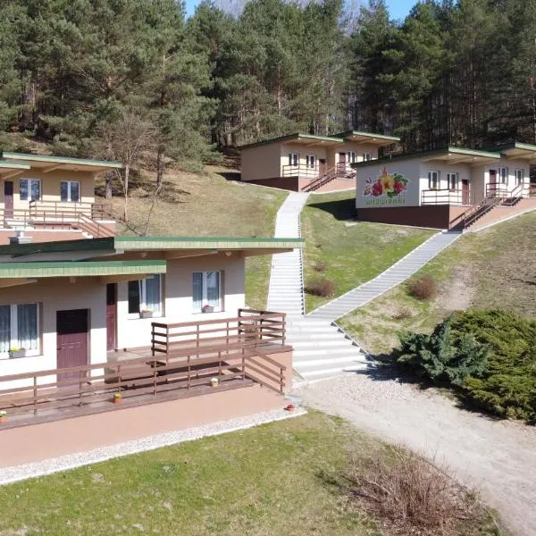 wilawianki - domki nad jeziorem Łubowo โรงแรมในLubiewo