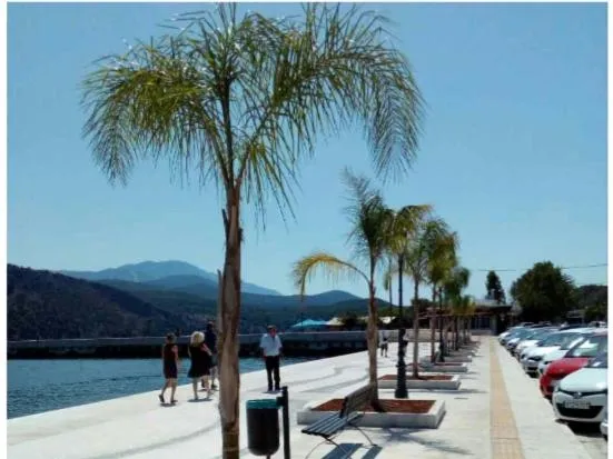 Elektra's apartment central with parking, hotel di Argostoli