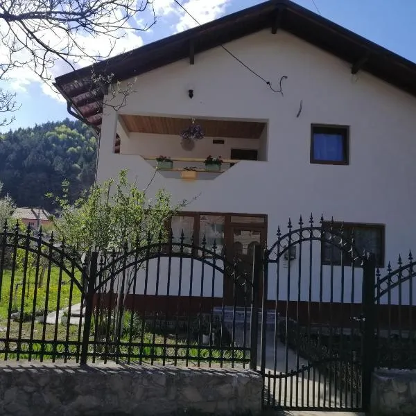 CASA MADAME COCO, hotel in Măţău