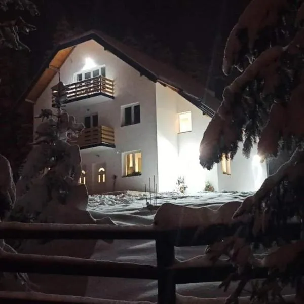 Nikolića kuća, hotel di Mitrovac