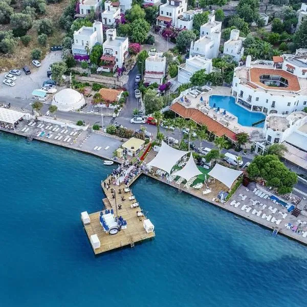 Torbahan Hotel, готель у місті Торба