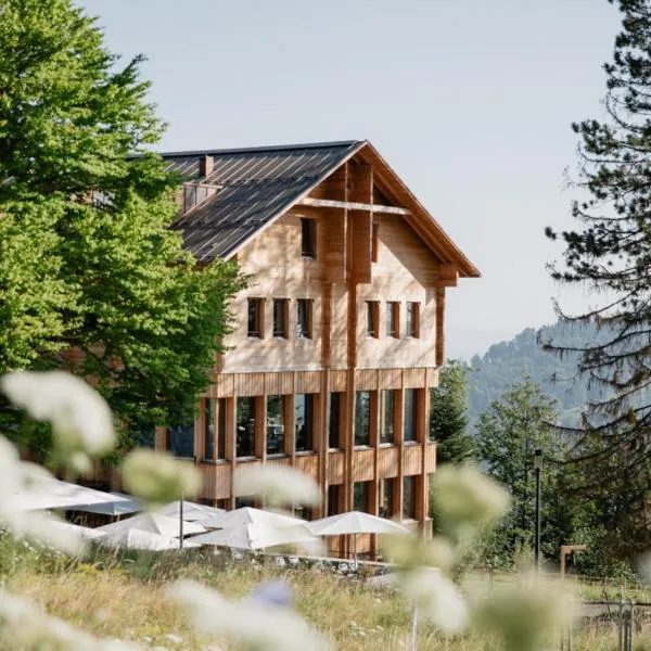 Hotel Gasthaus Hergiswald, готель у місті Schwarzenberg