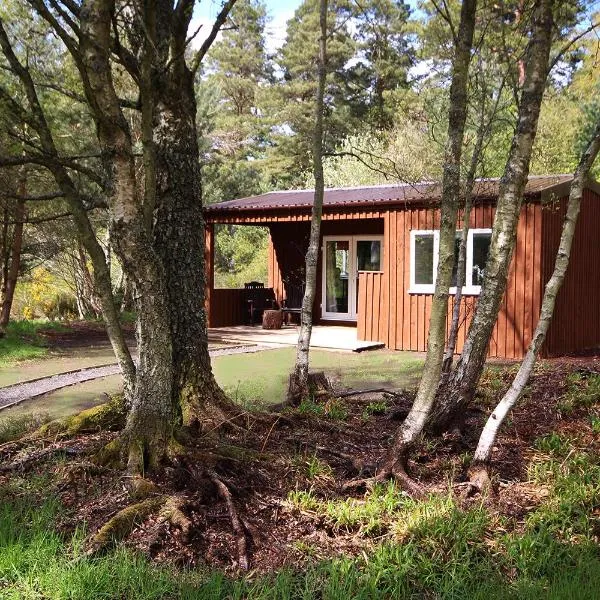 The Cabin at Easter Arr, hotel v destinaci Auldearn