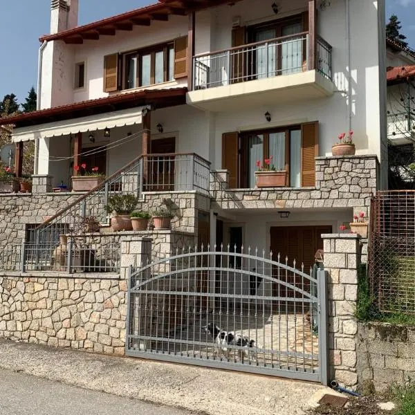 Ξύλο & Παράδοση, hotel in Pávliani