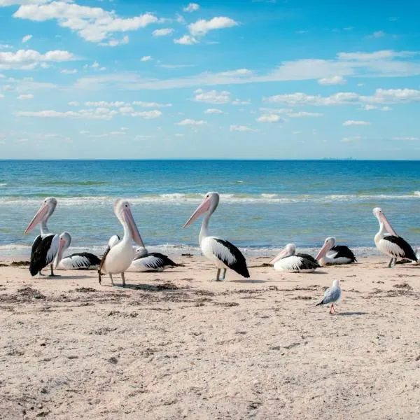 Bellarine Bayside Portarlington: Portarlington şehrinde bir otel