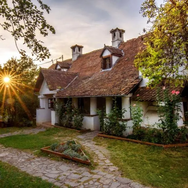 Count Kálnoky's Transylvanian Guesthouses, hotel in Aita Medie