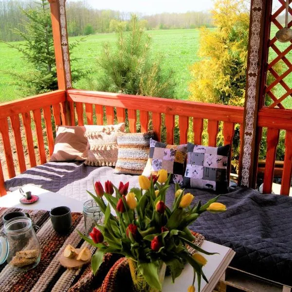 Łosiowate Gospodarstwo Agroturystyczne, hotel v destinaci Rybaki
