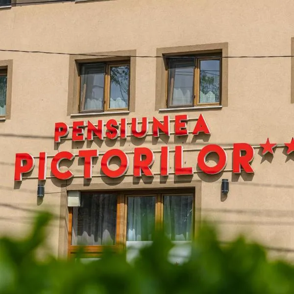 Pensiunea Pictorilor, hotel v destinaci Baia Mare