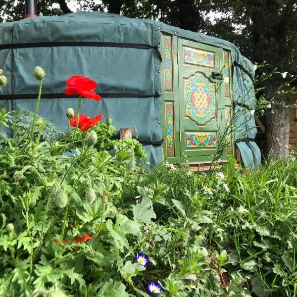 Mill Stream Yurt, hotel v destinaci Colyton