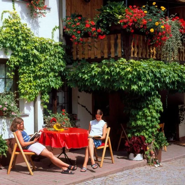 Landpension Risch, hotel in Langewiesen