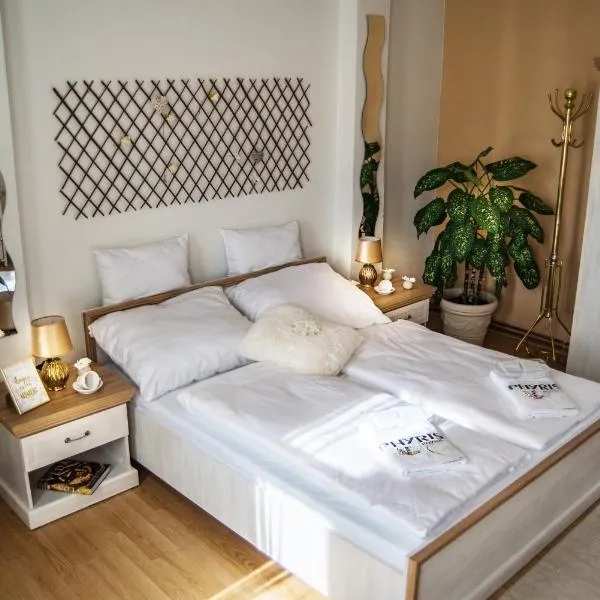 Beauty-Spa Apartment, hotel in Děčín