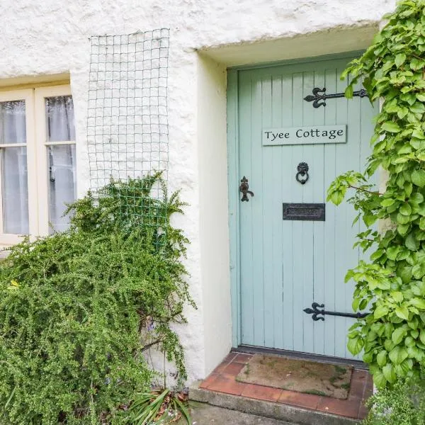 Tyee Cottage，康福斯的飯店