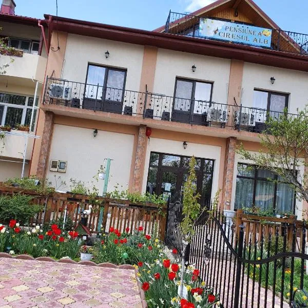 PENSIUNEA CIREȘUL ALB, hotel in Partizanii