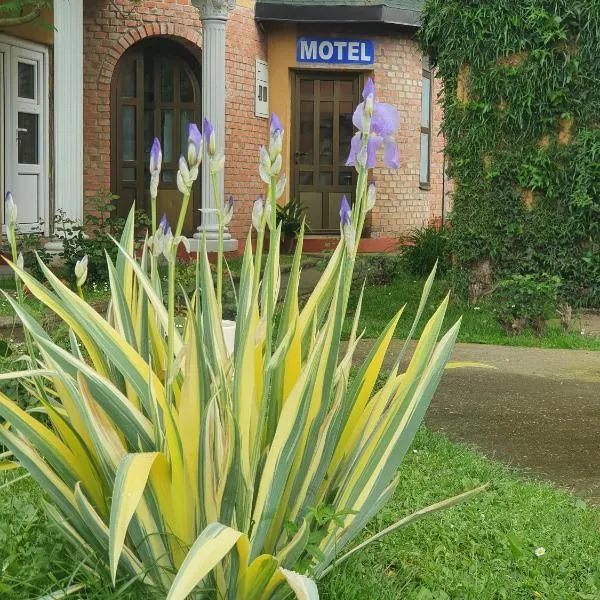 Motel Zoka, hotel v destinaci Dvorovi