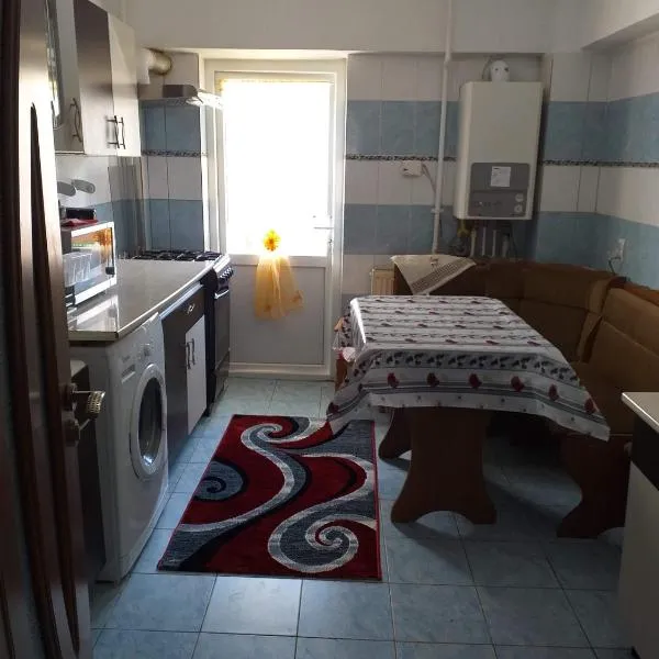 Apartament Aurora、スラニク・モルドバのホテル
