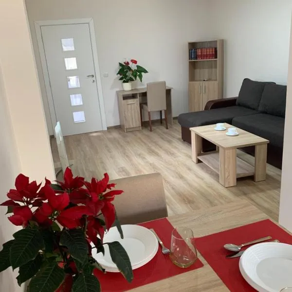 Apartman Zmaj, хотел в Turija