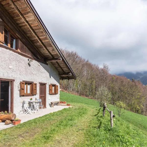Baita Rustica immersa nel verde, hotel v destinaci Roncone