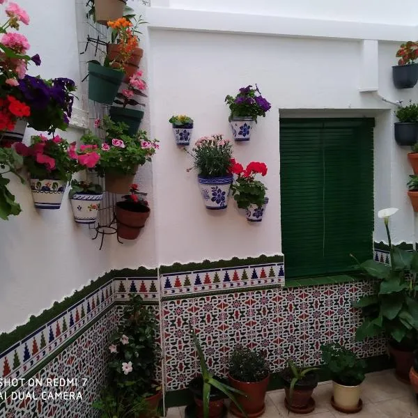 CULTURAS Y COLORES EN ALMAGRO -WIFI alta velocidad, NETFLIX, Parking -Promocion EMPRESAS-, hotel in Almagro
