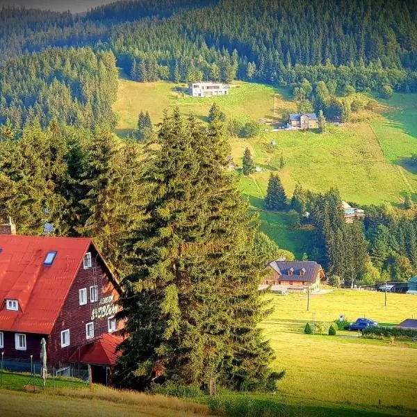 Pension Svoboda, hotel v destinaci Pec pod Sněžkou