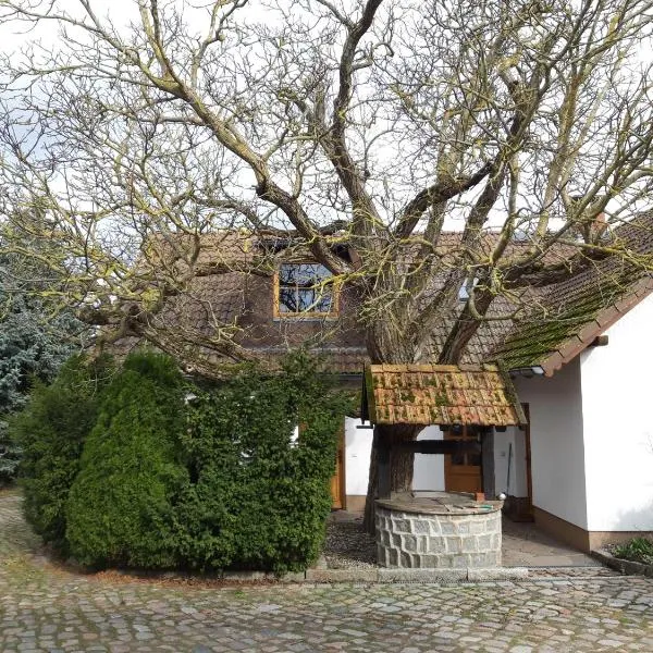 Ein Bett im Kornfeld - Haus Morgensonne - mit Innenpool, hotel in Schönfeld
