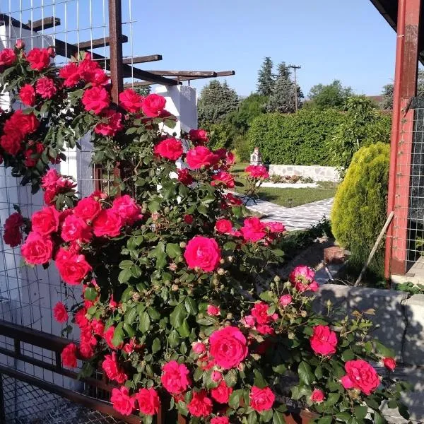 Green house - Apartment in Aridaia-Loutra Pozar, hotel in Foústani