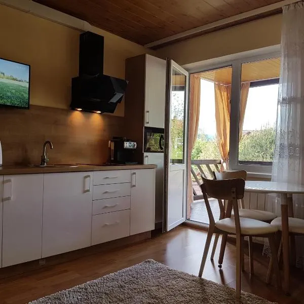 U Neli, Hotel in Solotschyn