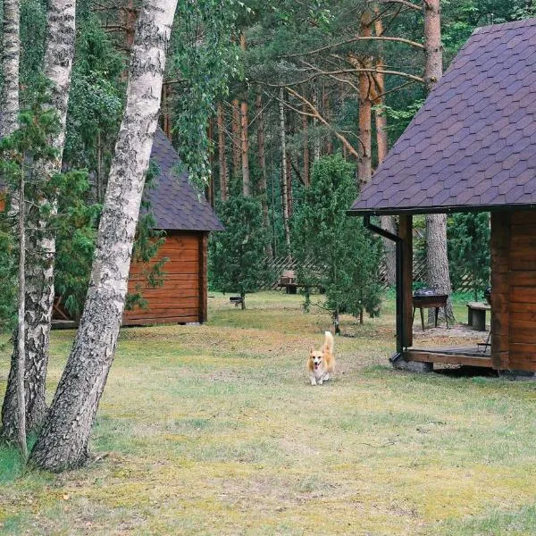 Niidupuu Camping, hotel en Mändjala