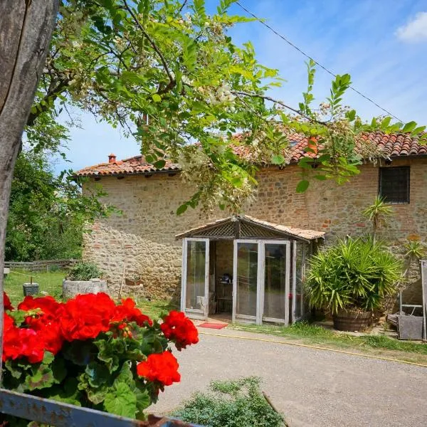 카스텔 산 피에트로 테르메에 위치한 호텔 B&B Parco dei cavalli