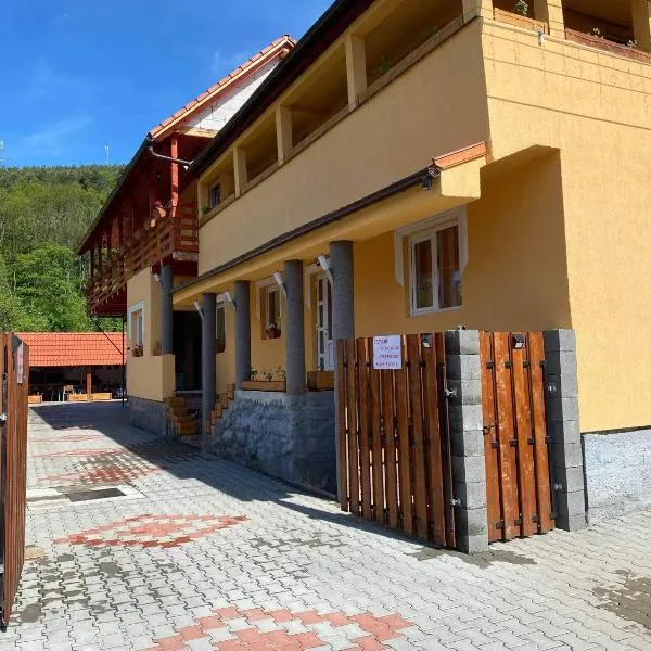 Rajni Panzió, hótel í Praid