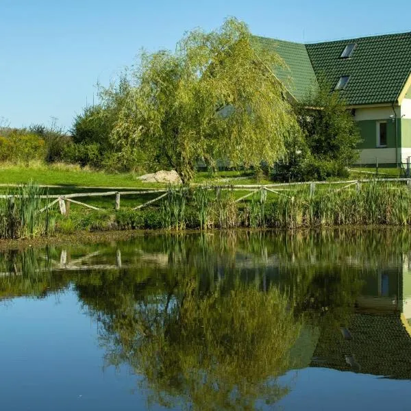 Pokoje Gościnne Butryny, отель в городе Вархалы