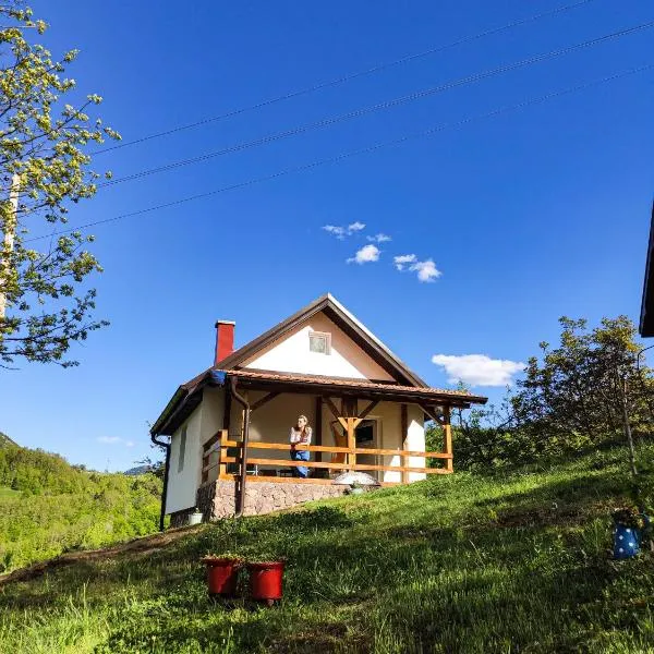 The Village House Zlatar, hotel di Nova Varoš