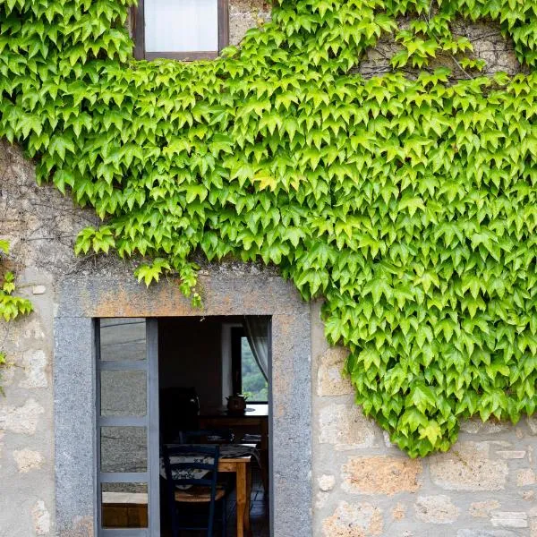 Acqua di Civita Beauty & Rooms in Mercatello, hotel v destinácii Bagnoregio