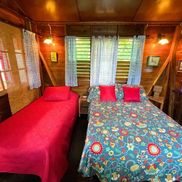 Judy House Cottages And Rooms, hotel in Negril
