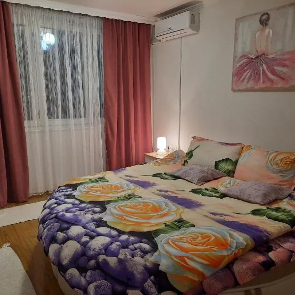 Apartman Rada 2, hotel in Bijeljina