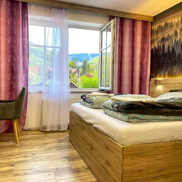 Hotel U Kociana, khách sạn ở Trojanovice