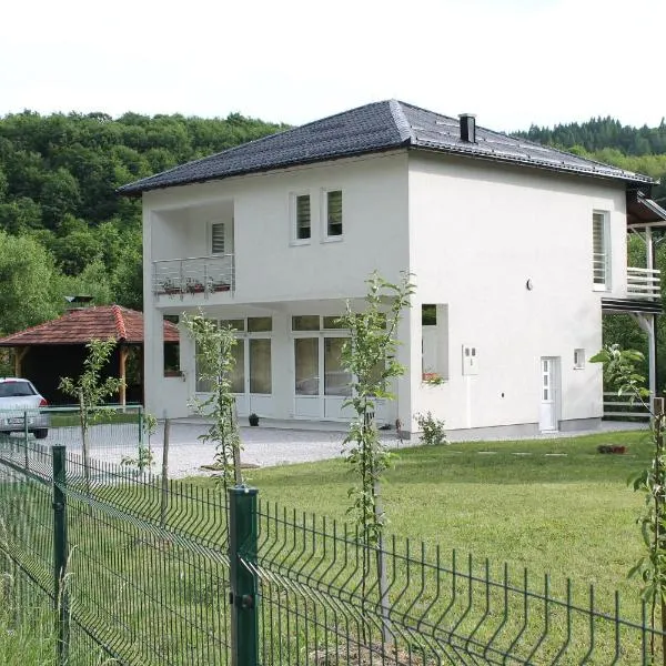 Nadia's home, hotel in Pazarić