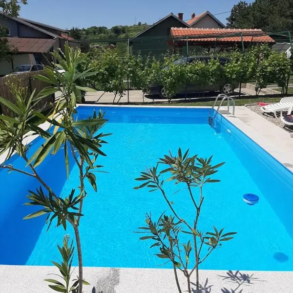 Kuca sa bazenom Teja, hotel v destinaci Aranđelovac