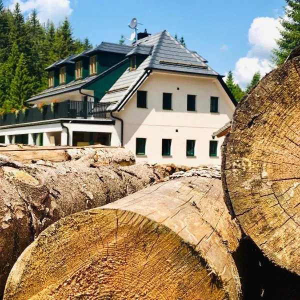 Chata pod Obřím hradem, hotel en Nicov