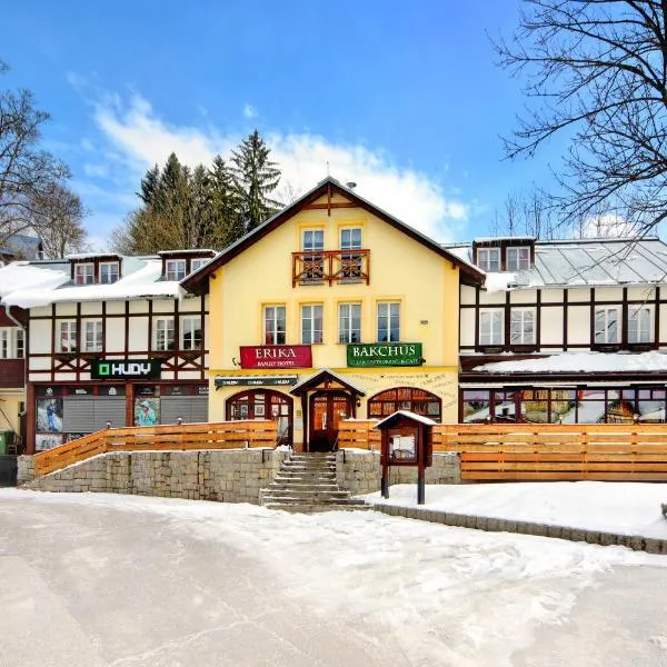 Hotel Erika, hotel in Špindlerův Mlýn