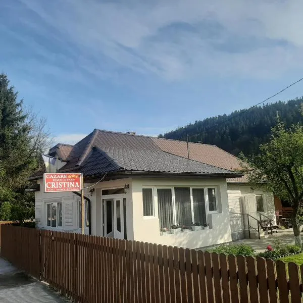 PENSIUNEA CRISTINA, Hotel in Topliţa