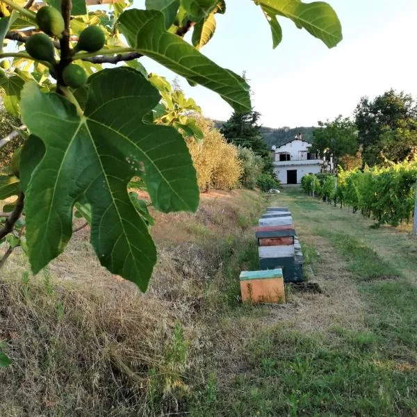 Naturaliterre BnB - Microfattoria, ξενοδοχείο σε Dovadola