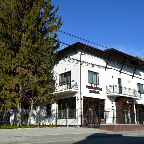 Pensiunea Alesia, hotel di Pucioasa