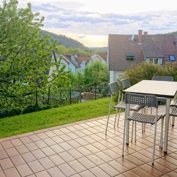 GreenCorner - Sonnige Terrasse 1-6p, hotel in Reichenbach