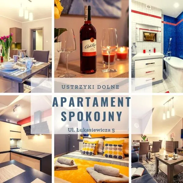 Apartament Spokojny, готель у місті Serednica