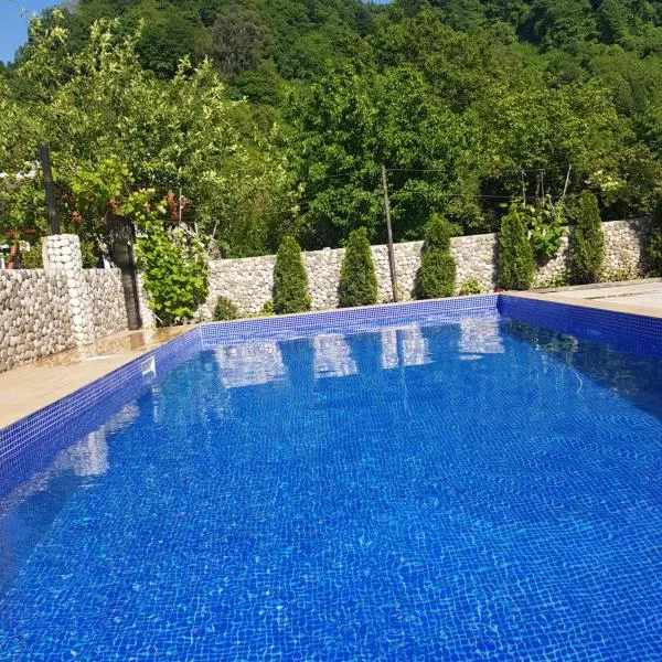 Vizitori Hotel, hotel a Gonio