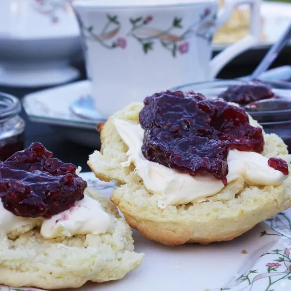 Forda Farm Bed & Breakfast, hotel in Holsworthy