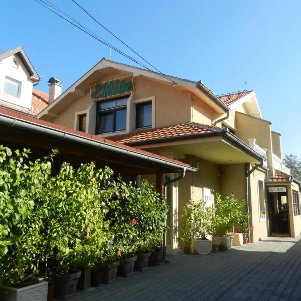 Guesthouse Ellite, hótel í Požarevac